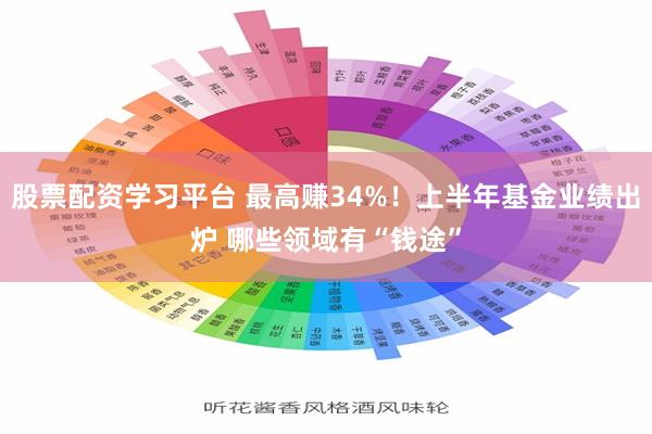 股票配资学习平台 最高赚34%！上半年基金业绩出炉 哪些领域有“钱途”