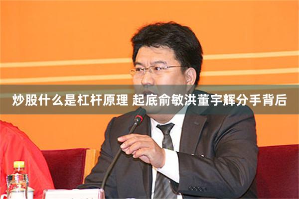 炒股什么是杠杆原理 起底俞敏洪董宇辉分手背后