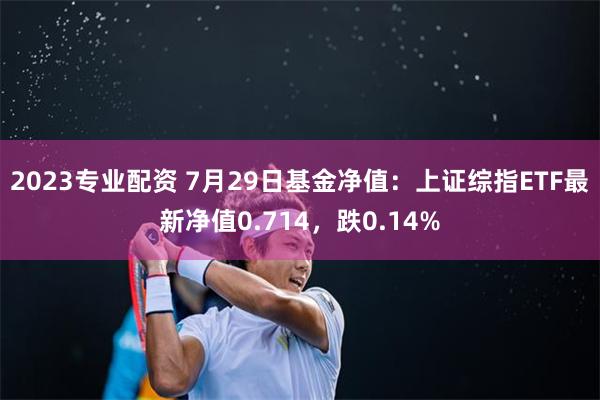 2023专业配资 7月29日基金净值：上证综指ETF最新净值0.714，跌0.14%