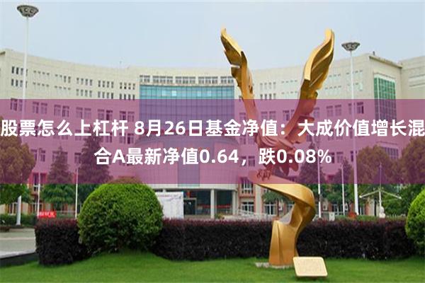 股票怎么上杠杆 8月26日基金净值：大成价值增长混合A最新净值0.64，跌0.08%