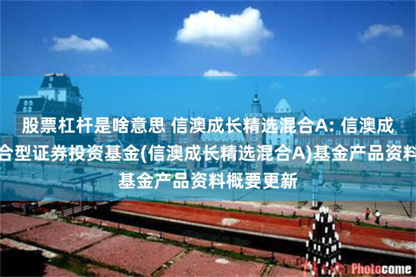 股票杠杆是啥意思 信澳成长精选混合A: 信澳成长精选混合型证券投资基金(信澳成长精选混合A)基金产品资料概要更新