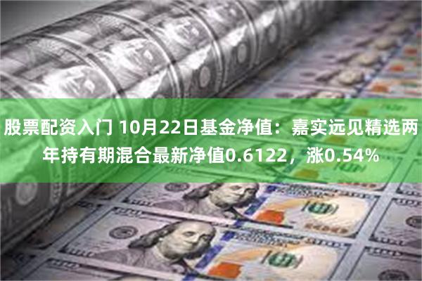 股票配资入门 10月22日基金净值：嘉实远见精选两年持有期混合最新净值0.6122，涨0.54%