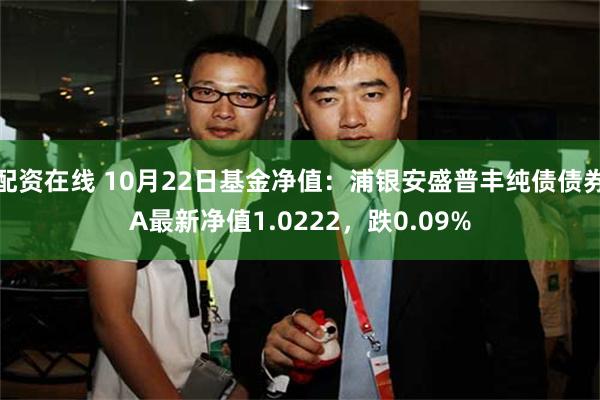 配资在线 10月22日基金净值：浦银安盛普丰纯债债券A最新净值1.0222，跌0.09%