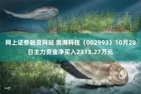 网上证劵融资网站 奥海科技（002993）10月28日主力资金净买入2313.27万元