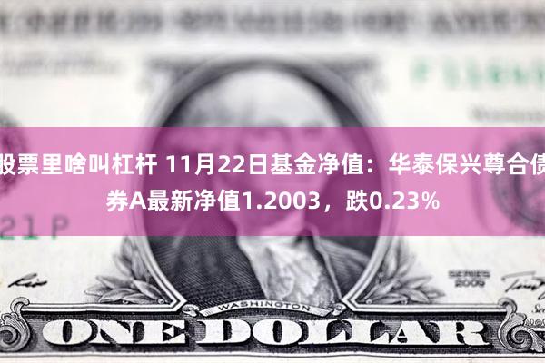 股票里啥叫杠杆 11月22日基金净值：华泰保兴尊合债券A最新净值1.2003，跌0.23%