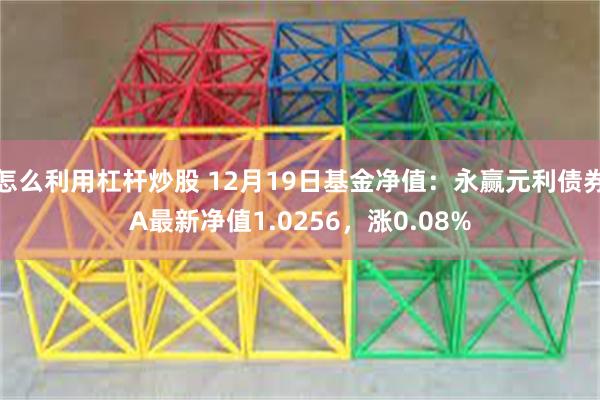 怎么利用杠杆炒股 12月19日基金净值：永赢元利债券A最新净值1.0256，涨0.08%