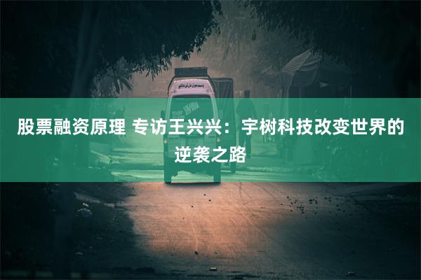 股票融资原理 专访王兴兴：宇树科技改变世界的逆袭之路