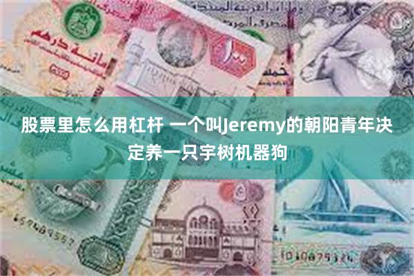 股票里怎么用杠杆 一个叫Jeremy的朝阳青年决定养一只宇树机器狗